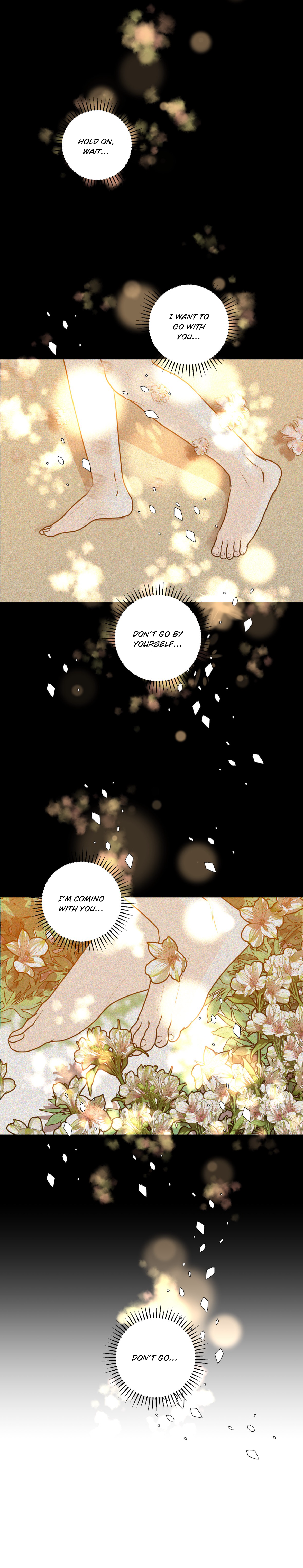 51195732 1179 6102 6378245